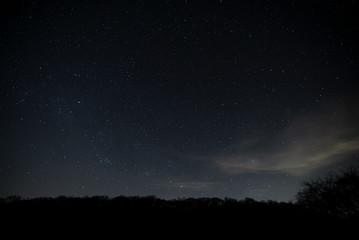 Obraz na płótnie Canvas Starry Night Sky 1