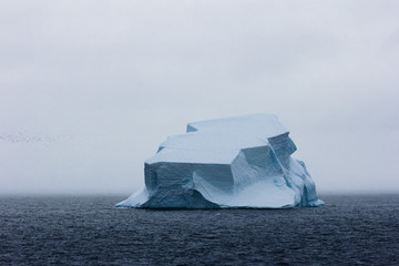 iceberg floating in antartica 