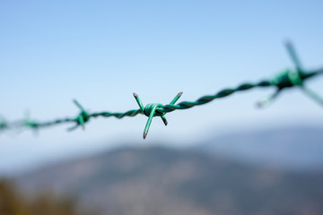 barbed wire fence isolating teritory in nature