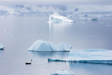 paddle boarders in Antarctica 