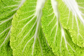 Chinese cabbage leaves texture. Vegan food.