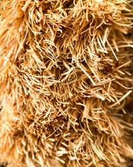Close Up View of Golden Straw