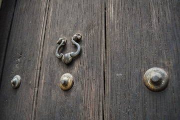 Puerta con ornamentos de hierro