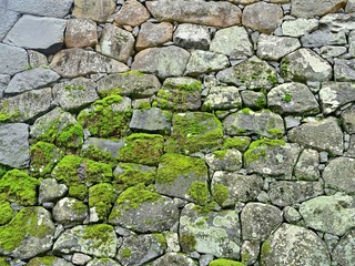 お城の苔むした石垣の情景＠島根