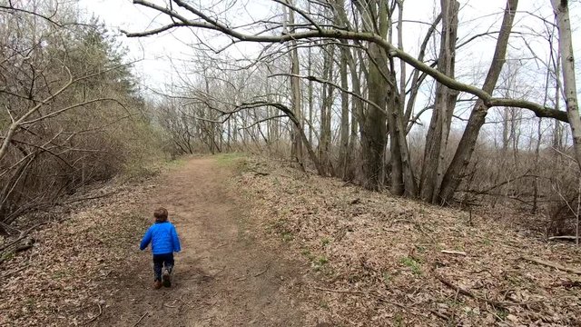 Young Boy Running Through A Path In  A Forest At Crosswinds Marsh, Monroe County Michigan - wide shot