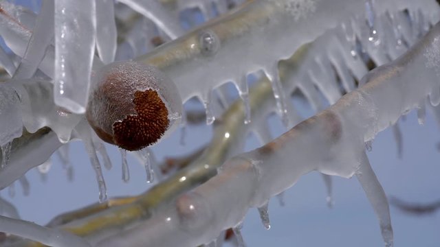Slow motion macro footage captures a melting ice castle fairyland following a spring ice storm.