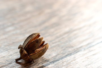 Dry seeds on wood table.Top view of dry seeds.Wood table background.