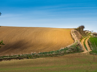 Plowed field view of the mountainous area in the countryside