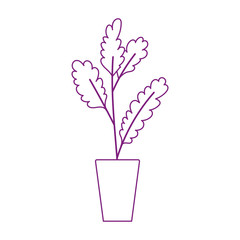 potted plant decoration interior isolated icon white background
