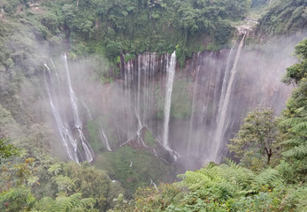 waterfall in the forest