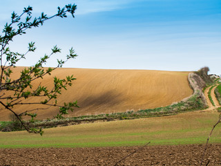 Plowed field view of the mountainous area in the countryside