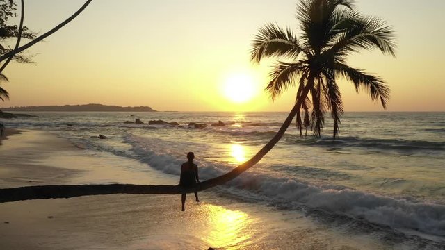 a girl sitting on a palm tree and watching sunrise