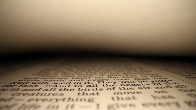 Moving inside the first page of the Bible, blank page on top. Moving past the verse that says "...the image of God he created him....female he created them"