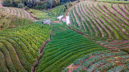 High angle view Aerial photograph of Agricultural area