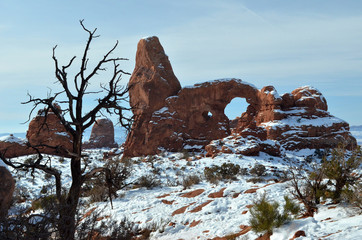tree by arch in winter