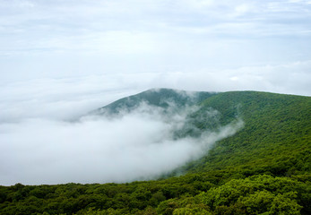 Overlook Mountain Woodstock New York