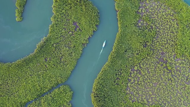 2020 - top down aerial over small boat moving along the Gambia river in West Africa.