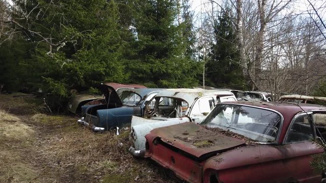 Old vintage cars in an scrapyard in forest