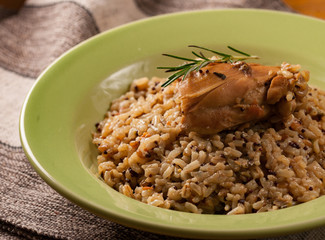 rice with grains and cooked chicken with rosemary twig in a green plate