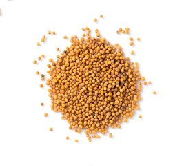 Mustard seeds placed on a white background