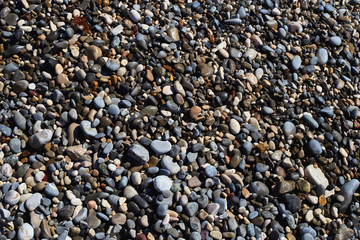 Closeup of small stones. Round stones. The sea shore is covered with grey stones.