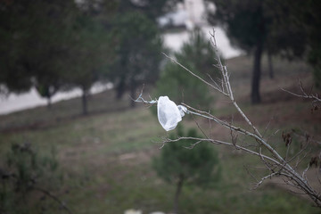 White sachet hanging on tree branches close up. Pine trees are in the background.