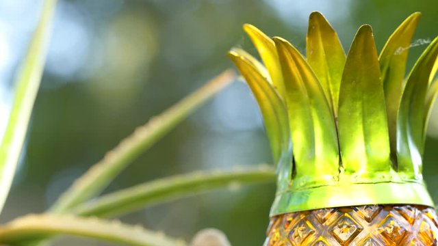 Closeup Of A Pineapple Lantern & Plant, Bokeh In Background.