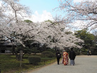 Fototapeta premium kenrokuen garden in kanazawa