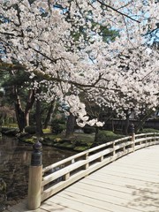 kenrokuen garden in kanazawa