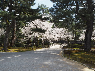 Kenrokuen Garden in kanazawa