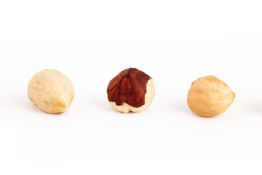 Hazel nut isolated on white background