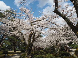 Kenrokuen Garden in kanazawa