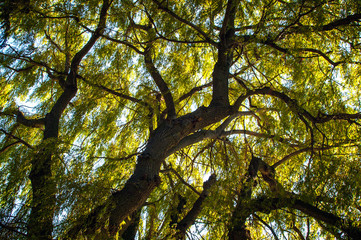 Summer Home in the Finger Lakes Upstate New York Adirondacks Catskills