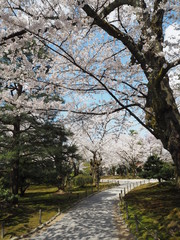 Kenrokuen Garden in kanazawa
