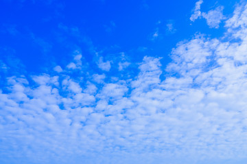 Bright blue sky There are small, white clouds spread beautifully. The perfect sky is used as a background in natural scenery.