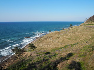 the famous rice paddy in noto peninsula