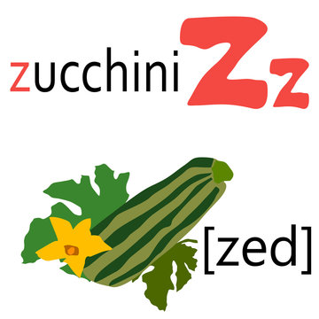 English alphabet letter with picture of zucchini