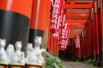 佐助稲荷神社の鳥居（鎌倉）