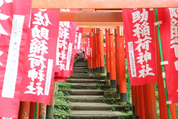佐助稲荷神社の鳥居（鎌倉）