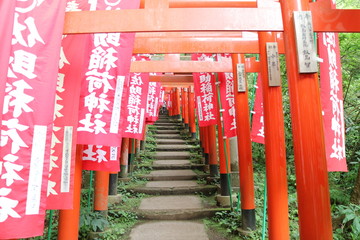 佐助稲荷神社の鳥居（鎌倉）