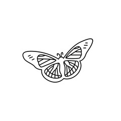 Butterfly line icon. Isolated on white background