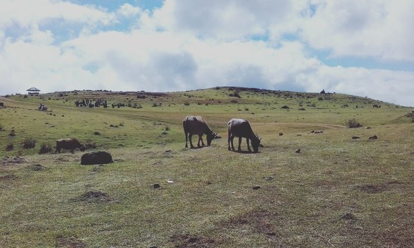 Lappa Laona, Harapan, Tanete Riaja, Kabupaten Barru, Sulawesi Selatan 90762

South Sulawesi, Indonesia

Map : https://goo.gl/maps/dwwrgR5orQxQEekSA