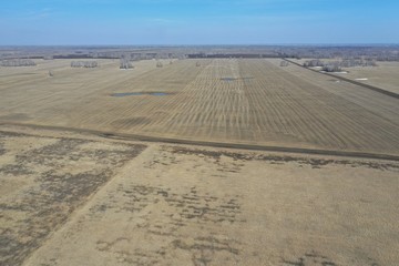 Dry grass field panorama, spring, april sunny day.