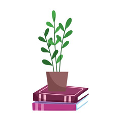 potted plant on stack books isolated icon white background