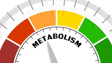 Metabolism level scale with arrow. The measuring device icon. Sign tachometer, speedometer, indicators. Infographic gauge element.