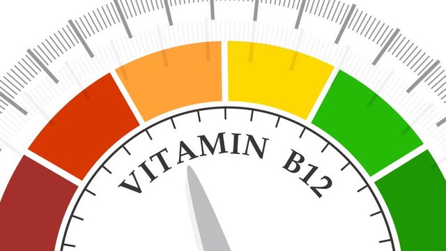 Gradient scale. Vitamin b 12 level measuring device. Sign tachometer, speedometer, indicators. Infographic gauge element.