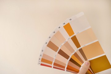 RAL sample colors catalogue on a beige background. palette of building paints in beige and brown tones. Repair and painting of walls