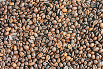 Coffee beans on the table