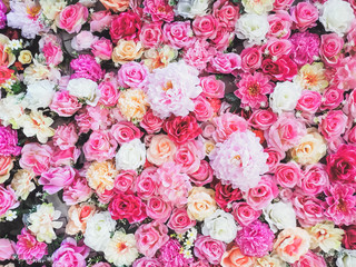Rose​ pink​ flower​ pattern​ background​