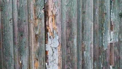 background of an old dilapidated fence with peeled green paint